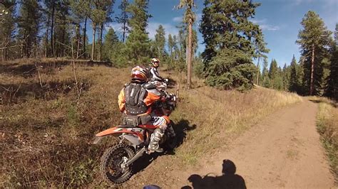 Black Hills National Forest Trail 8500 - YouTube
