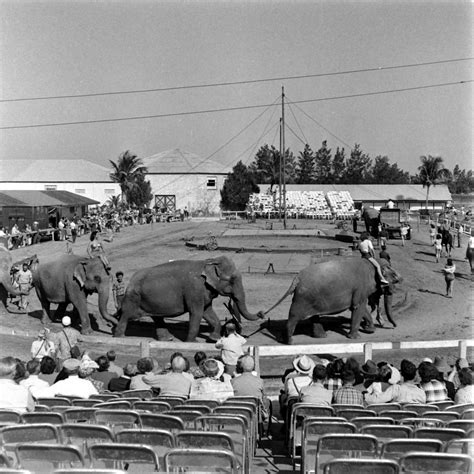 Ringling Brothers Circus: Behind the Scenes, Under the Big Top, 1949 | Time.com