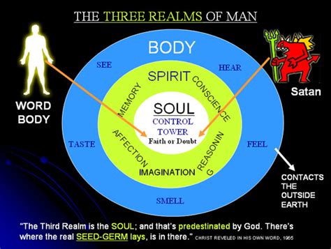 Body Soul Spirit Bible Diagram - Drivenheisenberg