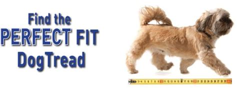 Dog Treadmill Size Guide | Dog treadmill, Treadmill benefits, Dogs