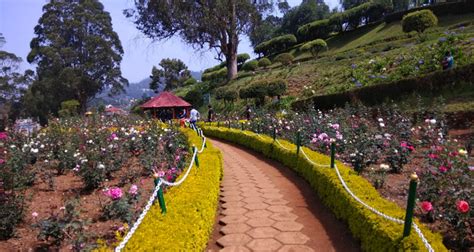 Ooty Rose Garden, Entry Fee, Timings, Entry Ticket Cost, Price - Ooty ...