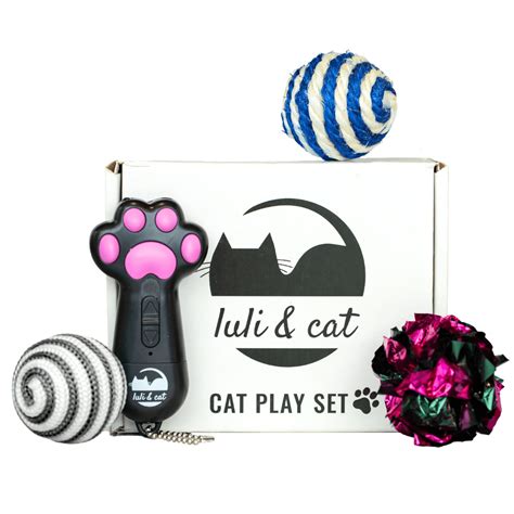 Cat Laser Toy | USB Rechargeable Laser Light Toy for Indoor Cats | Gift ...