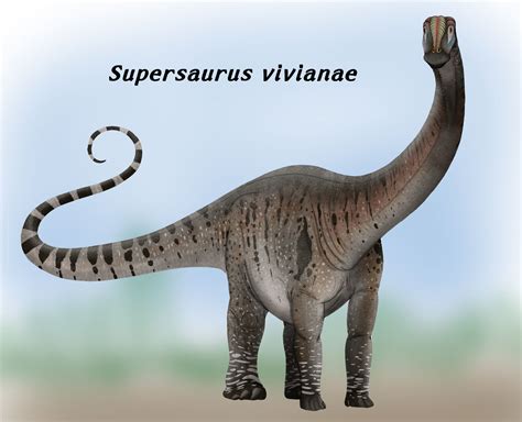 Supersaurus by JoliAquaIslander on DeviantArt