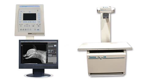 Veterinarian Digital Radiography DR X-Ray