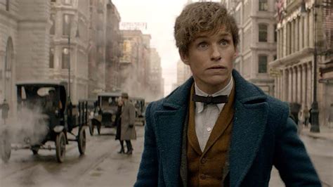 How Fantastic Beasts' Newt Scamander Represents a Rare Kind of Movie Hero