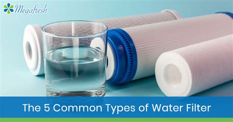 The 5 Common Types of Water Filter - MegaFresh | Water Filters