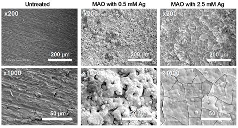 Metals | Special Issue : Oxidation of Metals