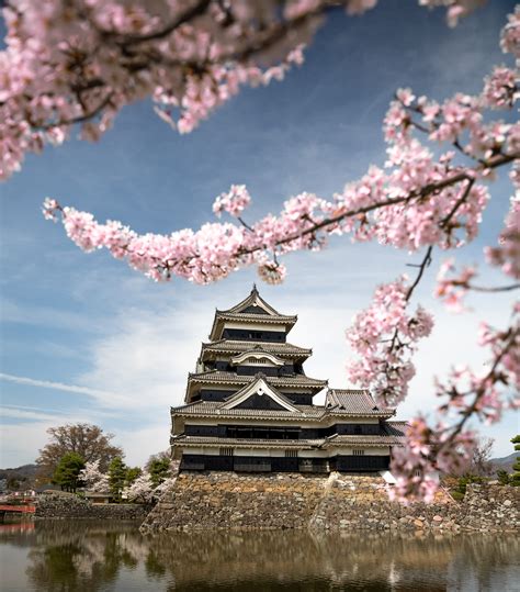 Cherry Blossoms in Matsumoto - Nozawa Holidays