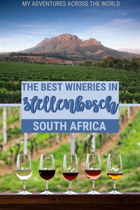 7 Best Estates To Do Wine Tasting In Stellenbosch | Africa travel guide ...