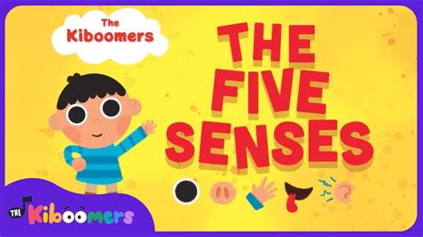 Five Senses - The Kiboomers Kids Learning Songs For Circle Time - Body Parts Song - YouTube