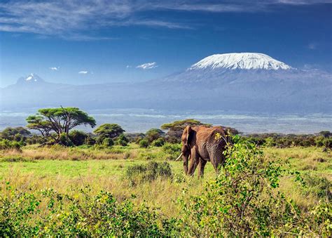 Mount Kilimanjaro