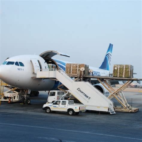 Egyptair Cargo bucks market trend and unveils new Middle East freighter routes - The Loadstar