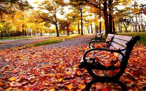 HD Autumn Park Wallpaper | Download Free - 70634