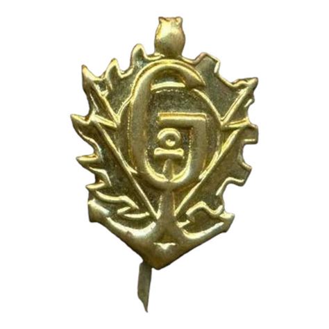 INSIGNA DE ARMA GENIU - SURPLUS MILITAR DE LA ARMATA ROMANA | Surplus ...