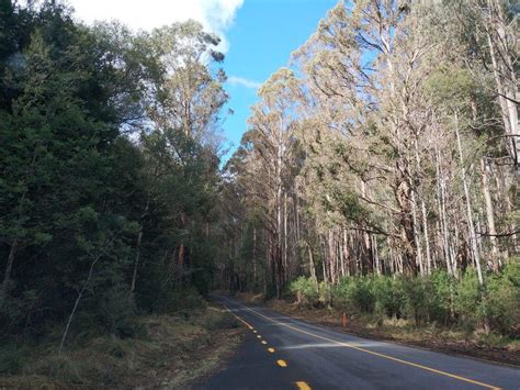 Yarra Ranges National Park - Camping & Accommodation