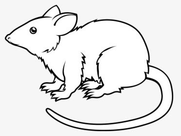 Black And White Animated Rat Png, Transparent Png - kindpng