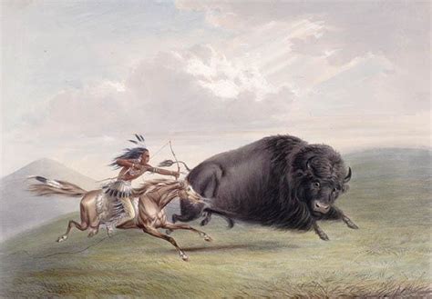 Native American Buffalo Art