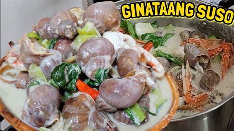 Ginataang Suso | Recipe - YouTube