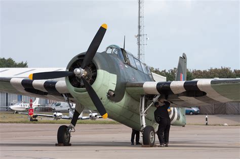 Grumman Avenger Tbm Wwii