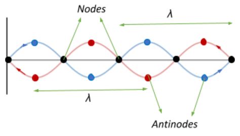 44 label the nodes and antinodes