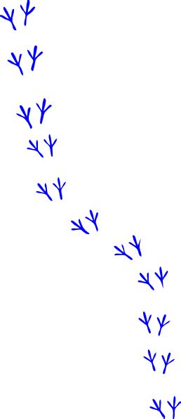 Bird Footprints Clip Art at Clker.com - vector clip art online, royalty free & public domain