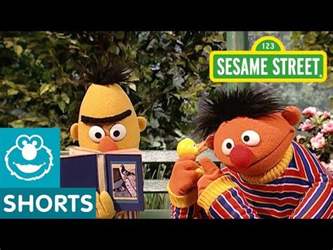 Sesame Street: Rubber Duckie Gets Hiccups with Bert and Ernie - Videos ...