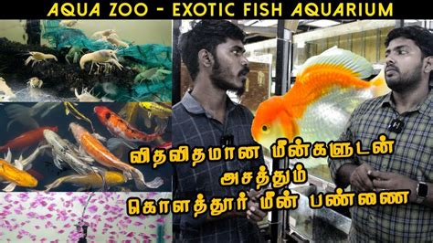 Biggest Fish Aquarium in KOLATHUR | AQUA ZOO Farm | 3 Rs to 10K Rs Fishes are Available - YouTube