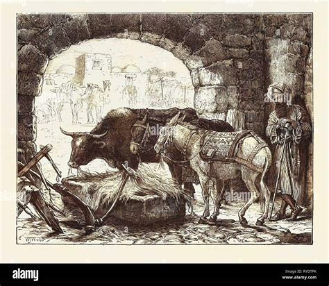 Stable bethlehem hi-res stock photography and images - Alamy