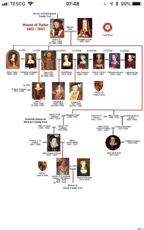 Tudor timeline | Tudor timeline, Family tree house, Scottish house