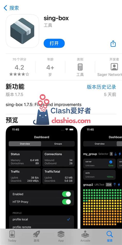 sing-box 使用教程-Clash 爱好者