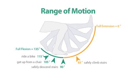 The Fundamental Importance of Knee Range of Motion | X10 Therapy