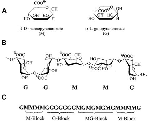 Alginate structural data: (A) alginate monomers (M versus G); (B) the ...