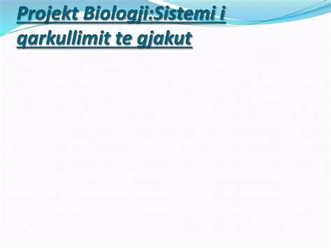 Projekt biologji sistemi i qarkullimit te gjakut | PPT