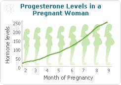 Pregnancy and Progesterone Levels | SheCares