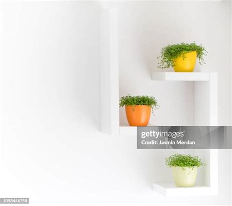 Office Background With Plants Photos and Premium High Res Pictures - Getty Images