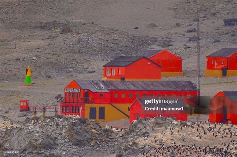 Esperanza Base Antarctica High-Res Stock Photo - Getty Images