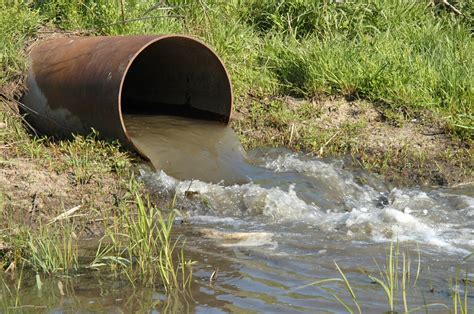 Mejorar el tratamiento de aguas residuales es crucial para la salud humana y los ecosistemas