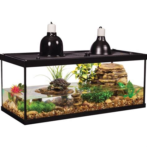 Best Turtle Tank Setup: The Definitive Guide - Expert Aquarist Aquatic ...