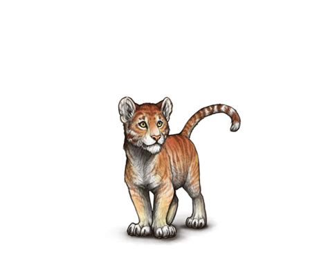 (Retired) Tigon Hype - Lioden Wiki