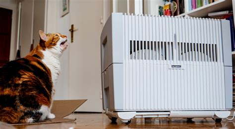 Best Air Purifier for Pets [Updated 2020] | Pet Comments