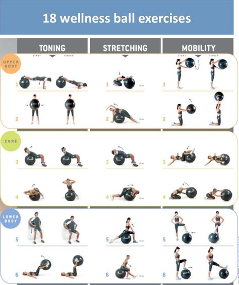 We have compiled some of the most popular exercise ball exercises. Keep ...