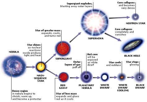 Life Of Stars Diagram