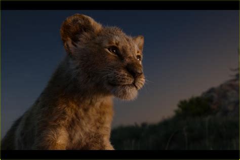 Is There a 'The Lion King' End Credits Scene?: Photo 4322659 | Movies ...