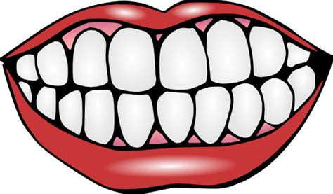 Mouth Image. | Tooth cartoon, Teeth clipart, Dental