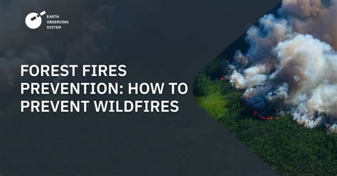 Wildfire Prevention: How To Prevent & Control Forest Fires