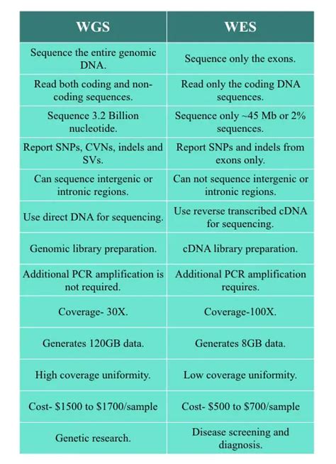 Differences Between Whole Genome vs Whole Exome Sequencing – Genetic Education