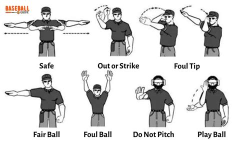 Beginner's Guide to Baseball Umpire Signals: Complete Guide