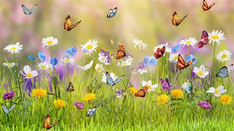 100+ Spring HD Wallpapers | Background Images