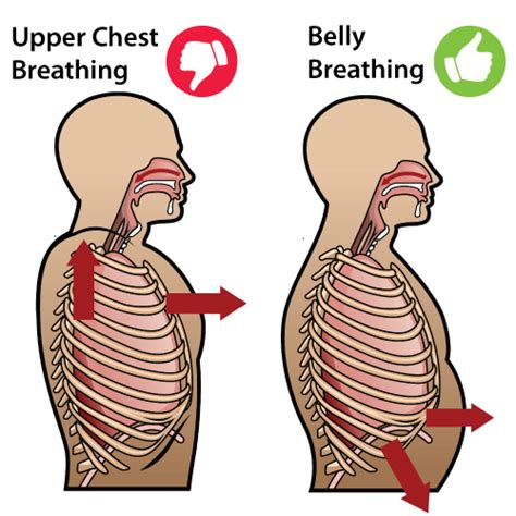 Proper Channel - Diaphragmatic Breathing