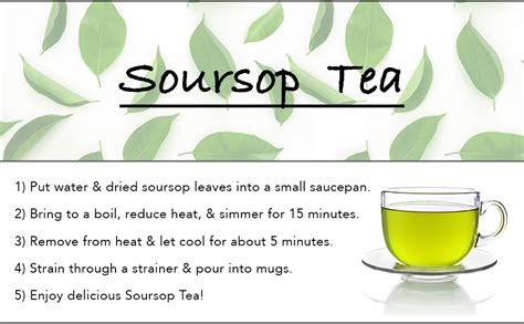 Amazon.com: Organic Dried Soursop Leaves by Source Nutrition - Pure Graviola for Tea, Whole ...